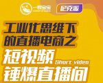 尼克派·工业化思维下的直播电商之短视频锤爆直播间,听话照做执行爆单-淘金日记