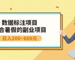 副业赚钱:人工智能数据标注项目,简单易上手,小白也能日入200+-淘金日记