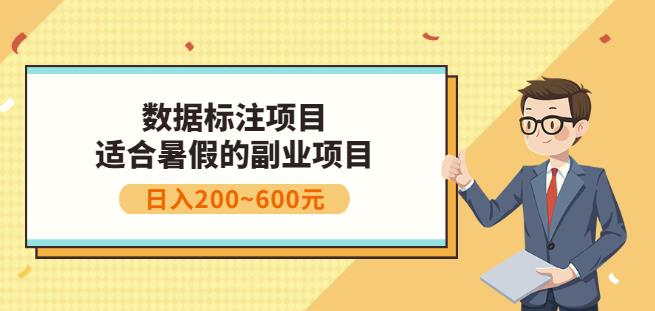 副业赚钱:人工智能数据标注项目,简单易上手,小白也能日入200+-淘金日记