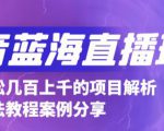 抖音最新蓝海直播玩法，3分钟赚30元，一天轻松1000+，只要你去直播就行【详细玩法教程】-淘金日记