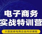民赛电气内部出品:电子商务实战特训营,全方位带你入门电商,308种方式玩转电商-淘金日记