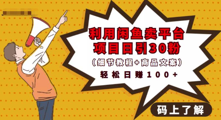 利用闲鱼卖平台项目课程资源日引流30+精准粉丝，轻松日赚100+，积累人脉可实现二次变-淘金日记
