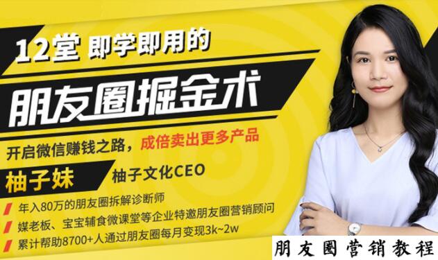 【营销必学】12堂学之即用的朋友圈掘金术:开启你的副业赚钱之路-淘金日记