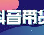 抖音直播带货入门必学教程,教快速上手抖音直播带货-淘金日记