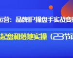秒懂代运营:品牌IP操盘手实战赚钱,0-1起盘和落地实操(23节课程)价值199-淘金日记
