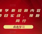 10堂速学微短剧内容制作标准与项目实战,领跑80%同行-淘金日记