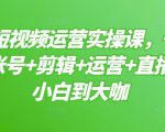 晨哥·短视频运营实操课,一部手机,账号+剪辑+运营+直播,从小白到大咖-淘金日记