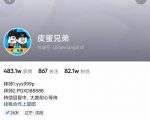 沙雕动画-皮蛋兄弟·熊猫人动画教学制作,全套素材文案教程分享!-淘金日记