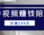 中视频赚钱陪跑，卖中视频账户赚钱收益陪跑项目（价值599元）-淘金日记