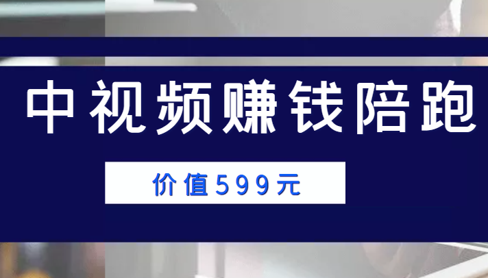 中视频赚钱陪跑,卖中视频账户赚钱收益陪跑项目(价值599元)-淘金日记