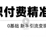 玩转知识付费项目精准引流，给你1套课多账号操作落地方案！-淘金日记