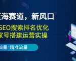 2022蓝海赛道,新风口:短视频SEO搜索排名优化+企业商家号搭建运营实操-淘金日记