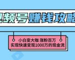 玩转微信视频号赚钱：小白变大咖涨粉百万实现快速变现1000万的现金流-淘金日记