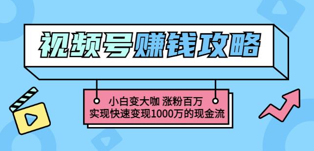 玩转微信视频号赚钱：小白变大咖涨粉百万实现快速变现1000万的现金流-淘金日记