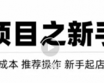 虚拟项目快速起店模式，0成本打造月入几万虚拟店铺！-淘金日记