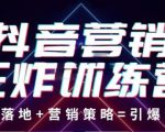 抖音营销王炸训练营,实操落地+营销策略=引爆流量(价值8960元)-淘金日记