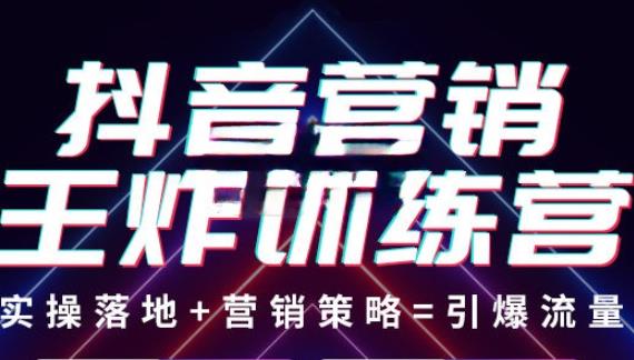抖音营销王炸训练营,实操落地+营销策略=引爆流量(价值8960元)-淘金日记