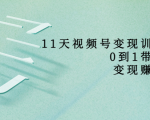 11天视频号变现训练营,从0到1打造变现赚钱系统(价值398元)-淘金日记