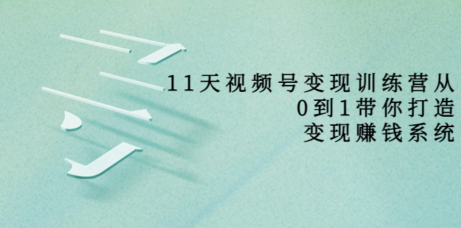 11天视频号变现训练营，从0到1打造变现赚钱系统（价值398元）-淘金日记