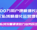 8000万用户规模增长方法论私域精细化运营增长,私域流量硬课助力业务跃迁-淘金日记