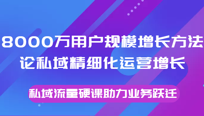 8000万用户规模增长方法论私域精细化运营增长，私域流量硬课助力业务跃迁-淘金日记