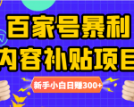 百家号暴利内容补贴项目，图文10元一条，视频30一条，新手小白日赚300+-淘金日记