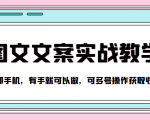 抖音图文文案实战教学,一部手机,有手就可以做,可多号操作获取收益-淘金日记