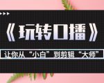 月营业额700万+大佬教您《玩转口播》让你从“小白”到剪辑“大师”-淘金日记