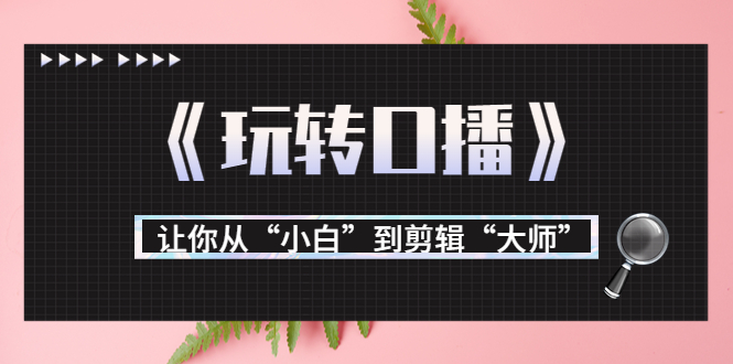 月营业额700万+大佬教您《玩转口播》让你从“小白”到剪辑“大师”-淘金日记