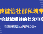 玩转微信社群私域带货,学会就能赚钱的社交电商,在家兼职副业再挣8000+-淘金日记