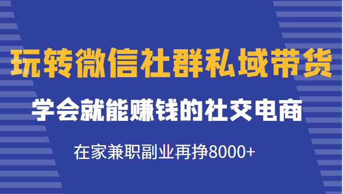 玩转微信社群私域带货，学会就能赚钱的社交电商，在家兼职副业再挣8000+-淘金日记