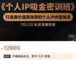 个人IP吸金密训班,打造高价值高效率的个人IP内容体系(价值12800元)-淘金日记
