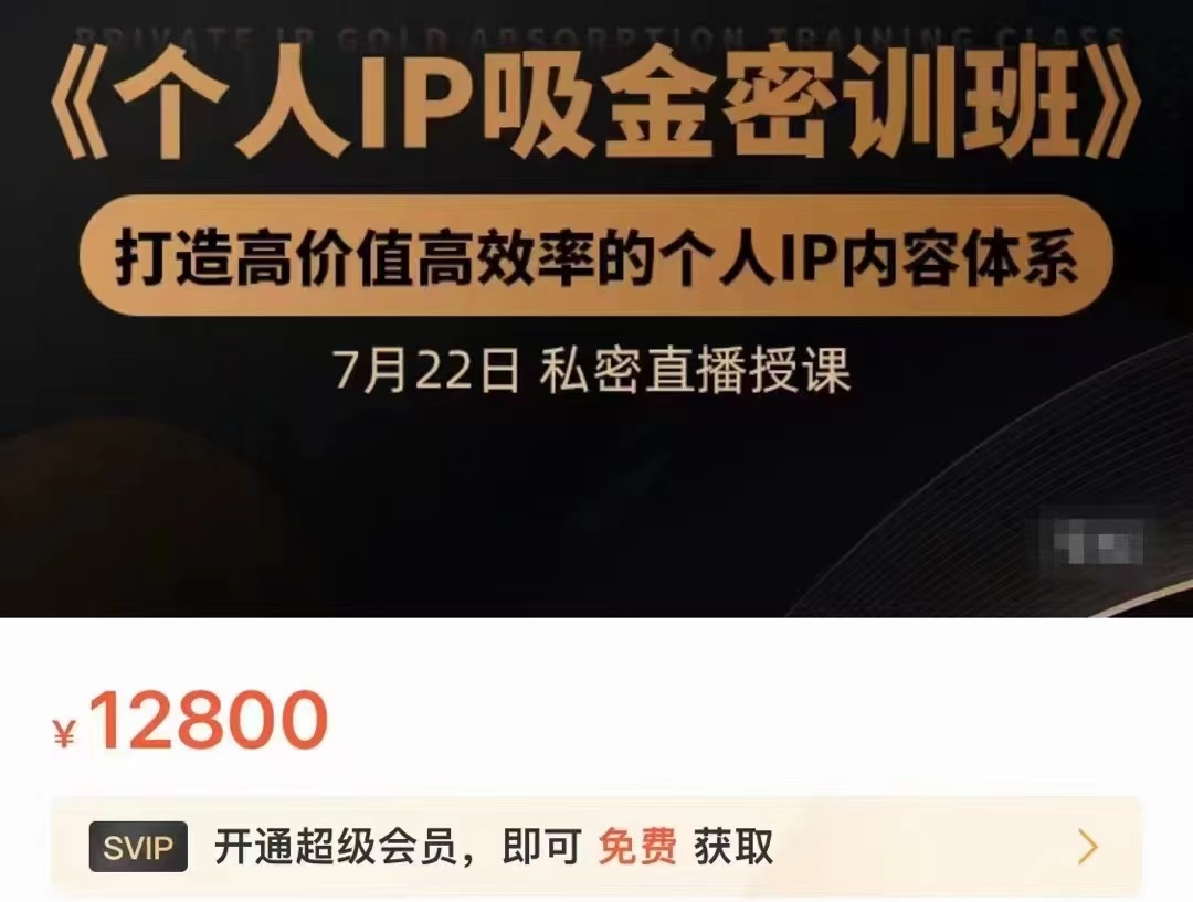 个人IP吸金密训班，打造高价值高效率的个人IP内容体系（价值12800元）-淘金日记