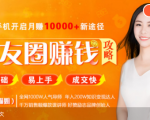 全网千万人气导师亲授：零基础/易上手的朋友圈赚钱攻略，让你轻松月入过万-淘金日记