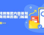 带货短视频爆款内容策划,关于电商视频的独门秘籍(价值499元)-淘金日记