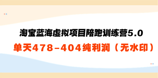 淘宝蓝海虚拟项目陪跑训练营5.0:单天478纯利润-淘金日记