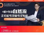 0粉0作品自然流正价起号及稳号全教程，专业自然流起号机构流程化教学（价值2980元）-淘金日记