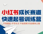 小红书成长赛道快速起号训练营,不露脸不写长文不拍视频,0粉丝冷启动变现之路-淘金日记