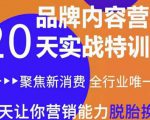 《内容营销实操特训营》20天让你营销能力脱胎换骨(价值3999)-淘金日记