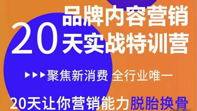 《内容营销实操特训营》20天让你营销能力脱胎换骨(价值3999)-淘金日记