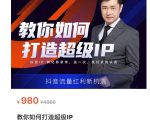 教你如何打造超级IP，抖音流量红利新机遇（价值980元）-淘金日记