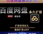 百度网盘无限扩容技术,外面卖399的,无论自己用还是用做引流都可以-淘金日记