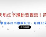 21天小红书涨粉变现营（第3期）：带你掌握小红书爆款玩法，月赚10W+秘密-淘金日记