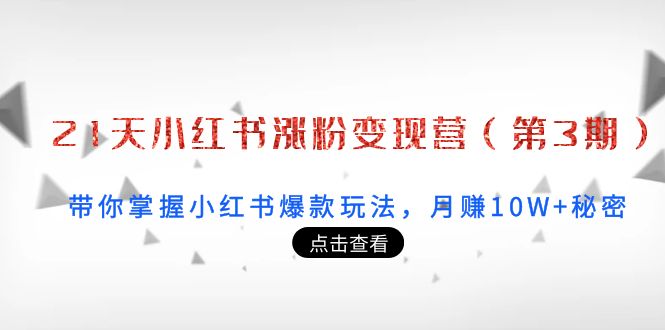 21天小红书涨粉变现营(第3期):带你掌握小红书爆款玩法,月赚10W+秘密-淘金日记