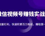微信视频号赚钱实战:抓住流量红利,快速积累百万粉丝,赚取你的第一桶金-淘金日记