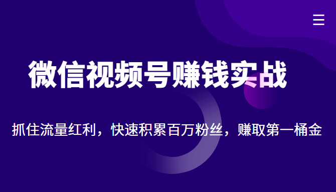微信视频号赚钱实战:抓住流量红利,快速积累百万粉丝,赚取你的第一桶金-淘金日记