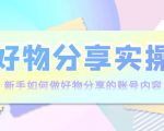 好物分享实操:新手如何做好物分享的账号内容,实操教学-淘金日记