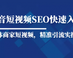 抖音短视频Seo搜索排名优化新手快速入门教程,实体商家短视频,精准引流实操课-淘金日记