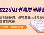 2022小红书高阶训练营:爆文制造技巧,低预算高roi投放技巧,内容营销思维-淘金日记