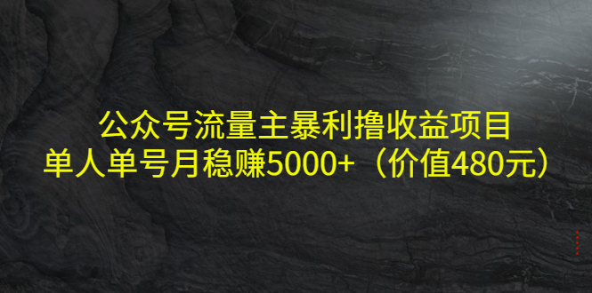 公众号流量主暴利撸收益项目，单人单号月稳赚5000+（价值480元）-淘金日记